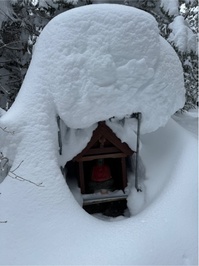 IMG_1109.jpegのサムネイル画像