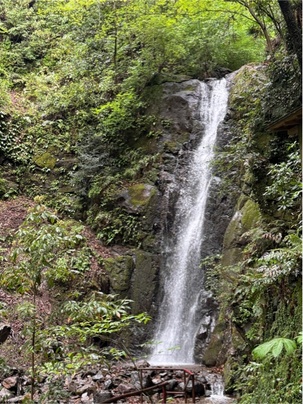 IMG_1201.jpegのサムネイル画像